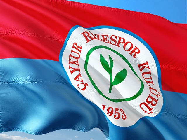 還憑藉高效 還憑藉高效