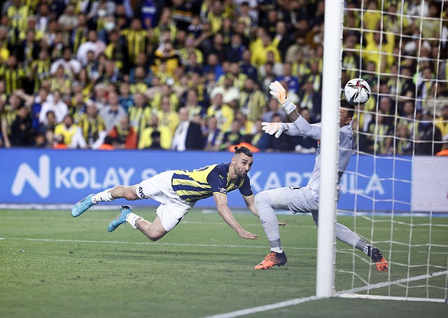 不仅体现了 不仅体现了