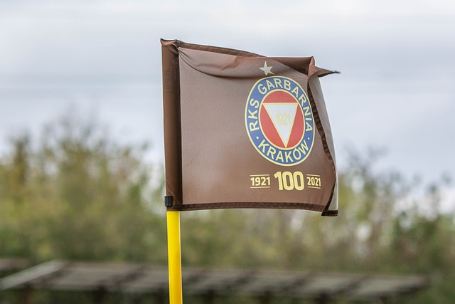 并不罕见 并不罕见