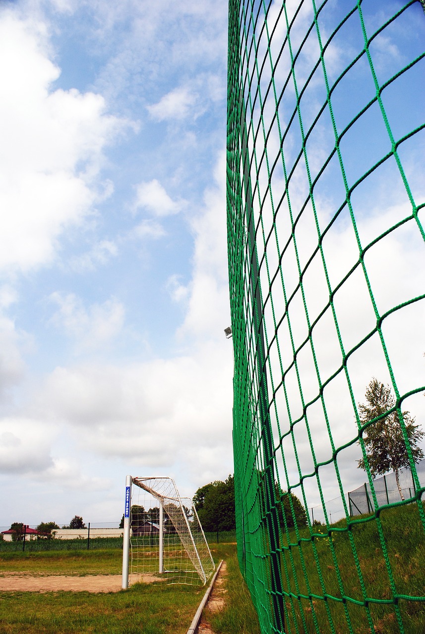 一名组织者 一名组织者