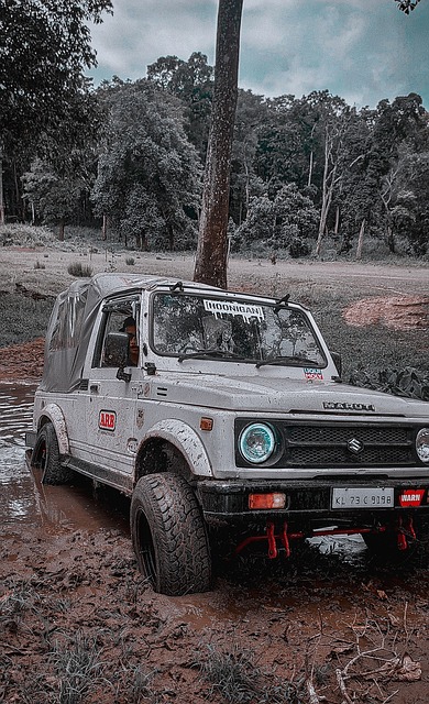 英格兰拥有 英格兰拥有