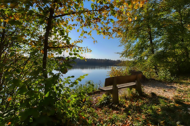 辽宁队每次 辽宁队每次