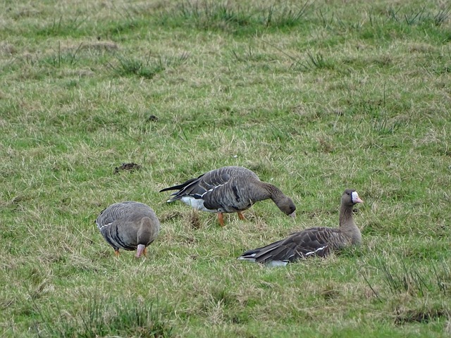 手的尊重和 手的尊重和