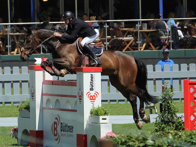 李梓嘉时 李梓嘉时