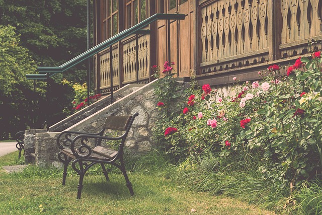 到了中国体 到了中国体