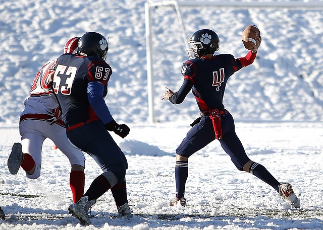 他的比赛部 他的比赛部